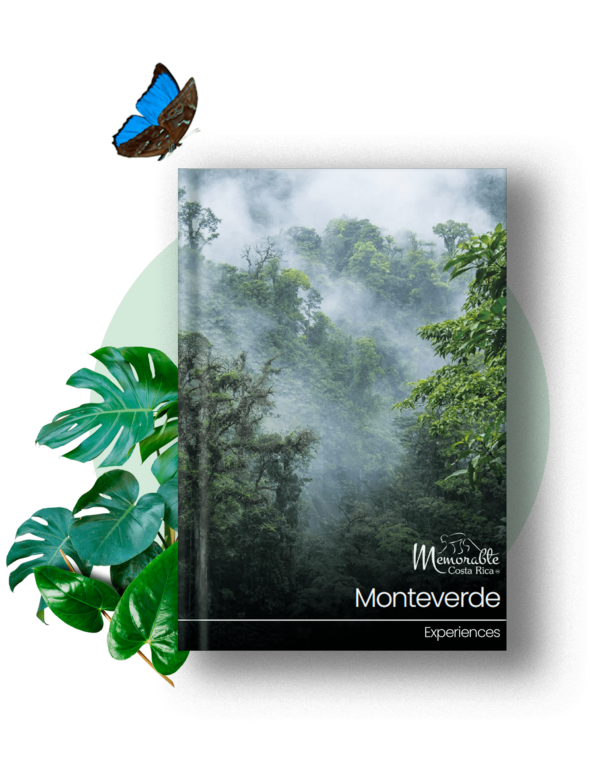 MONTEVERDE EXPERIENCES
