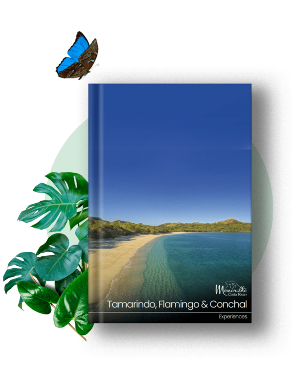 TAMARINDO EXPERIENCES